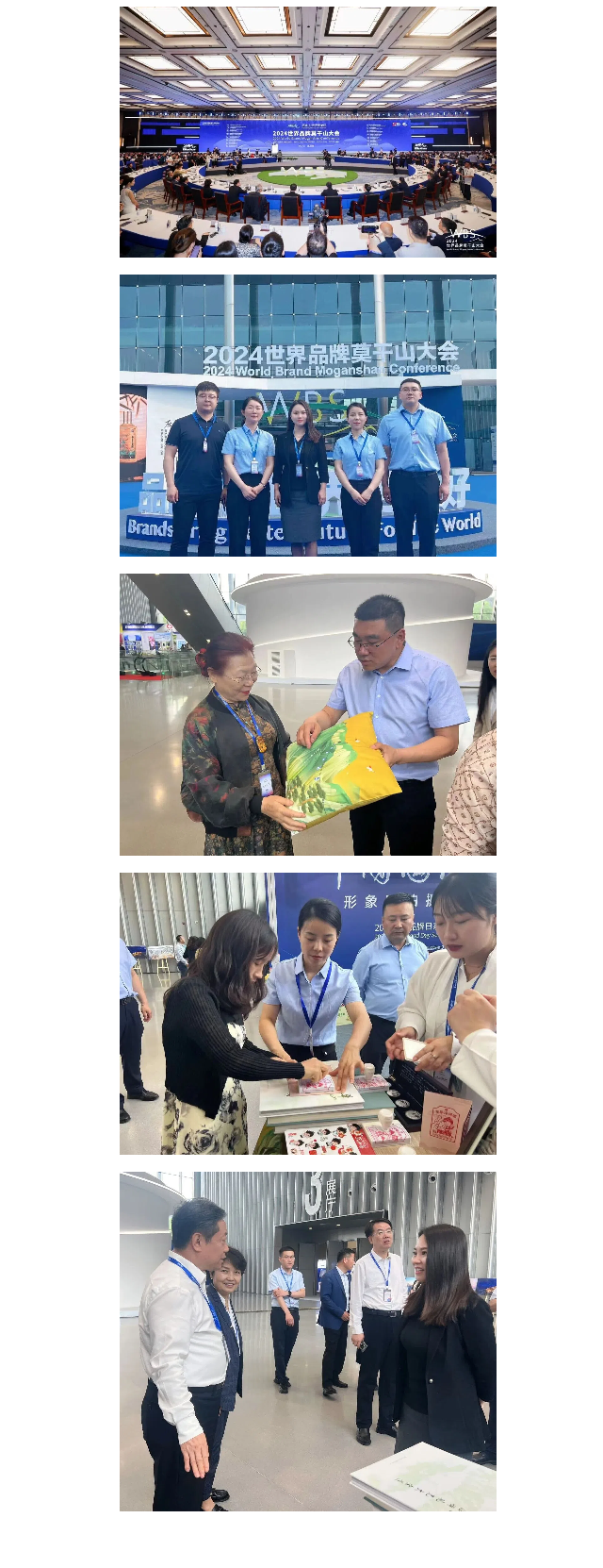 華山西峰大索道受邀參加2024世界品牌莫干山大會(圖1)